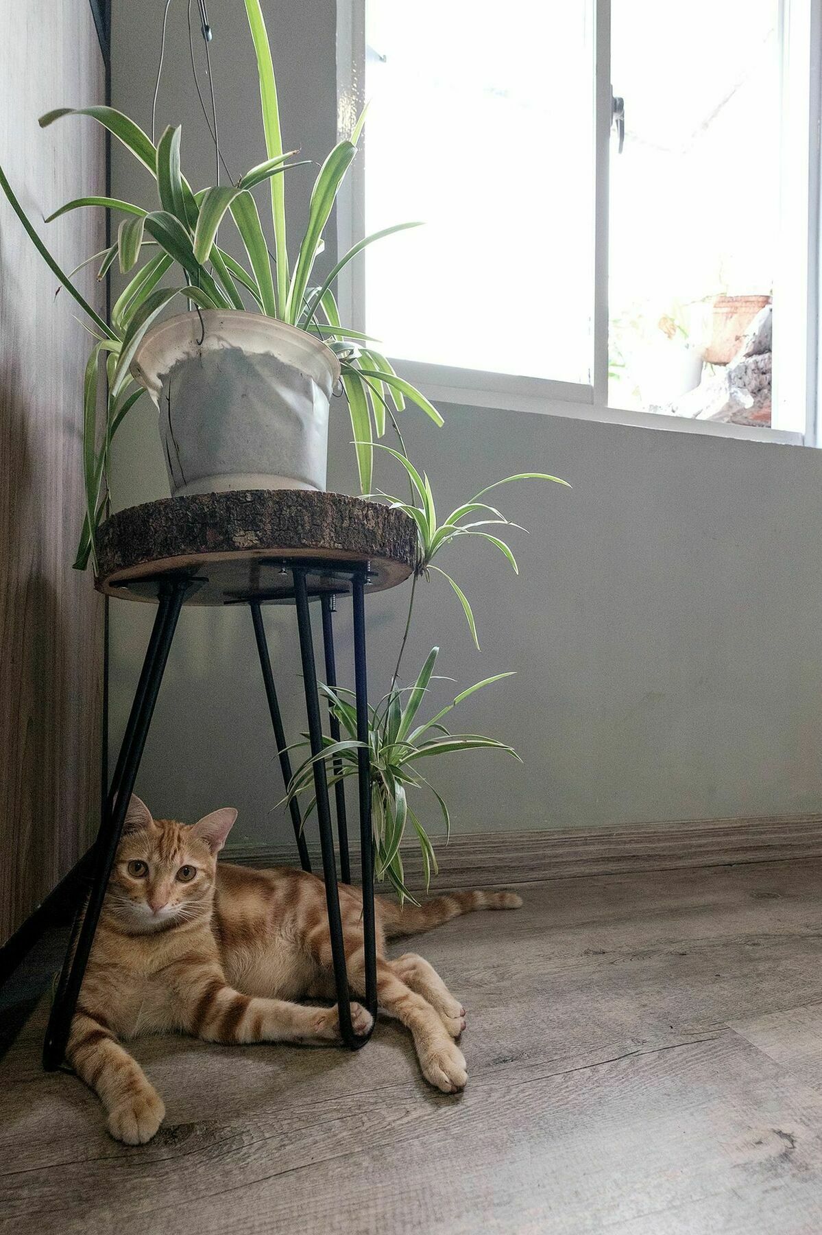 Saigon Inner Home Ho Chi Minh City Bagian luar foto